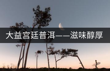 大益宮廷普洱——滋味醇厚，陳香濃郁