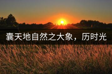 囊天地自然之大象，歷時光十載流轉(zhuǎn)-皇茶一號