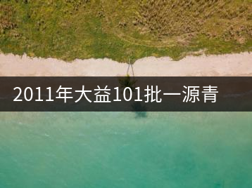 2011年大益101批一源青餅評(píng)鑒