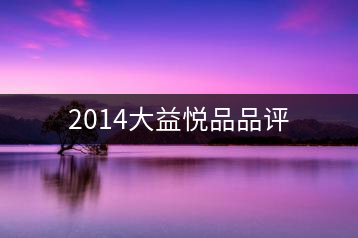 2014大益悅品品評