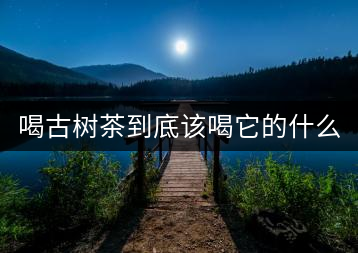 喝古樹茶到底該喝它的什么？