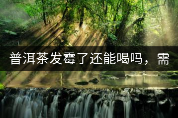 普洱茶發(fā)霉了還能喝嗎，需要怎么處理？