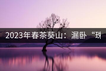 2023年春茶葵山：漏臥“珠江紅：1200元-3200元（有3個(gè)檔次）漏臥“大廠茶”：古樹單株8600-9000元／公斤，中樹4800-5200元／公斤，小樹混采2600-2800元／公斤。