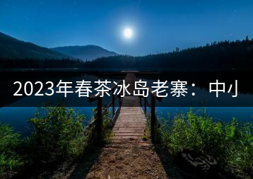 2023年春茶冰島老寨：中小樹(shù)混采2500-3000元／公斤，大樹(shù)：7000-8000元／公斤，古樹(shù)混采：28000-36000元／公斤