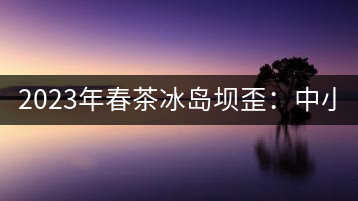 2023年春茶冰島壩歪：中小樹800元／公斤，古樹1400-1600元／公斤