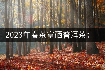 2023年春茶富硒普洱茶：1.富硒有機(jī)手工生普，市場(chǎng)指導(dǎo)價(jià)800元／公斤；2.富硒有機(jī)一級(jí)紅茶，市場(chǎng)指導(dǎo)價(jià)800元／公斤；3.富硒有機(jī)熟普餅，市場(chǎng)指導(dǎo)價(jià)1000元／公斤；4.富硒有機(jī)月光白茶，市場(chǎng)指導(dǎo)價(jià)800元／公斤。