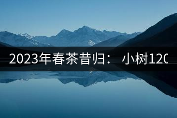 2023年春茶昔歸： 小樹1200-1600元／公斤，大樹4500-5200元／公斤，古樹7500-9000元／公斤.