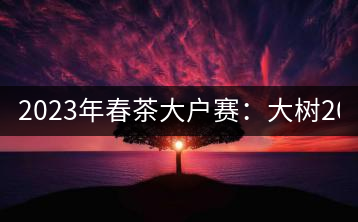 2023年春茶大戶賽：大樹200-300元／公斤，古樹800-1000元／公斤