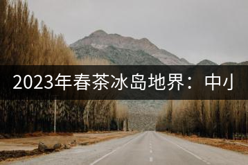 2023年春茶冰島地界：中小樹(shù)1300-1500元／公斤，古樹(shù)2200~2500元／公斤
