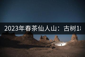 2023年春茶仙人山：古樹1800-2500元／公斤，老曼峨：小樹：600元／公斤 1600-1800元／公斤