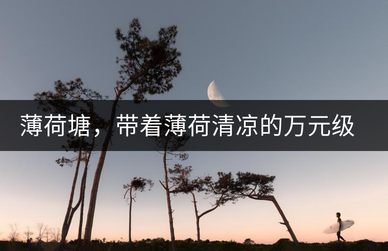 薄荷塘，帶著薄荷清涼的萬元級普洱