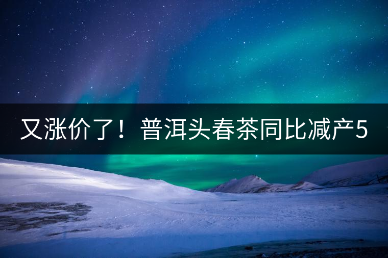 又漲價(jià)了！普洱頭春茶同比減產(chǎn)50%，薄荷塘一類(lèi)鮮葉需當(dāng)面議價(jià)