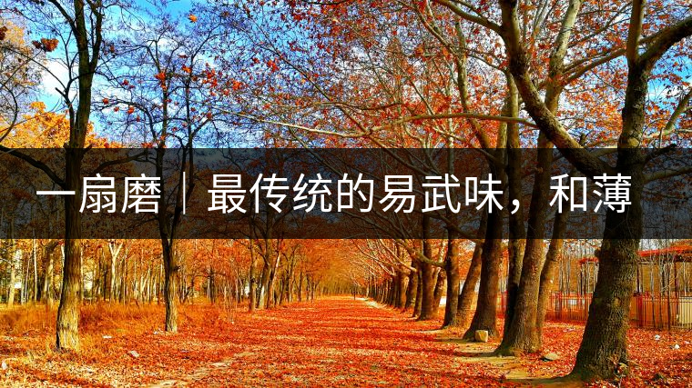 一扇磨｜最傳統(tǒng)的易武味，和薄荷塘一脈同宗，價格卻天差地別