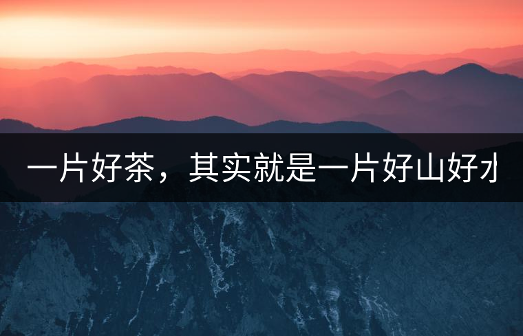 一片好茶，其實就是一片好山好水...一片好茶，其實就是一片好山好水...