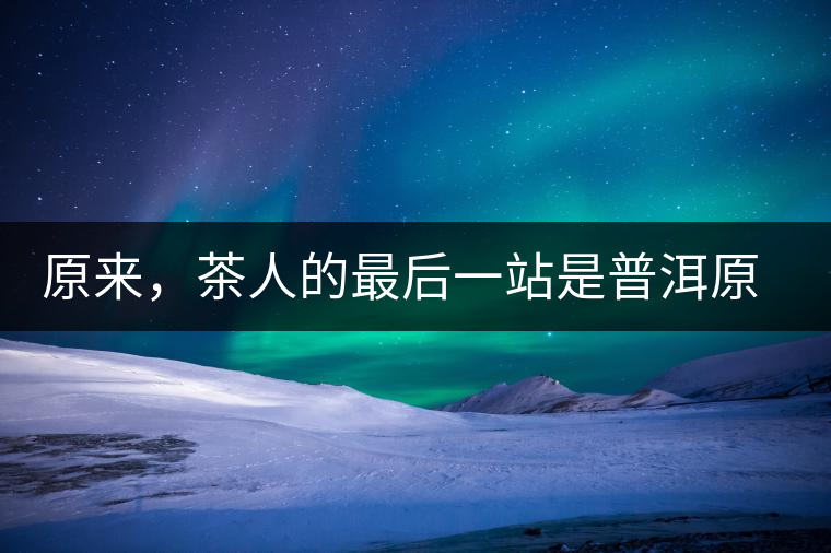 原來，茶人的最后一站是普洱原來，茶人的最后一站是普洱