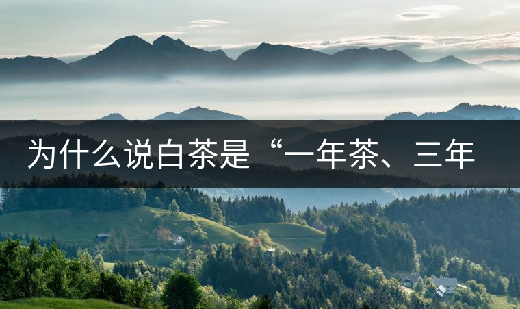 為什么說白茶是“一年茶、三年藥、七年寶”?為什么說白茶是“一年茶、三年藥、七年寶”？