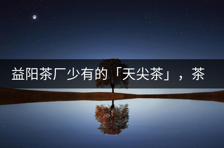 益陽茶廠少有的「天尖茶」，茶品升級(jí)，收藏趁早！