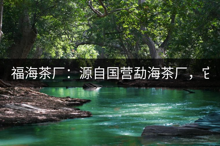 福海茶廠：源自國營勐海茶廠，它是99易武綠星星之母