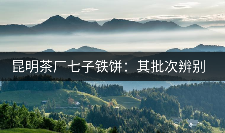 昆明茶廠七子鐵餅：其批次辨別、配方、年份大盤點！