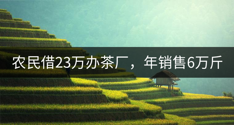 農(nóng)民借23萬辦茶廠，年銷售6萬斤，每天休息僅20分鐘!農(nóng)民借23萬辦茶廠，年銷售6萬斤，每天休息僅20分鐘！
