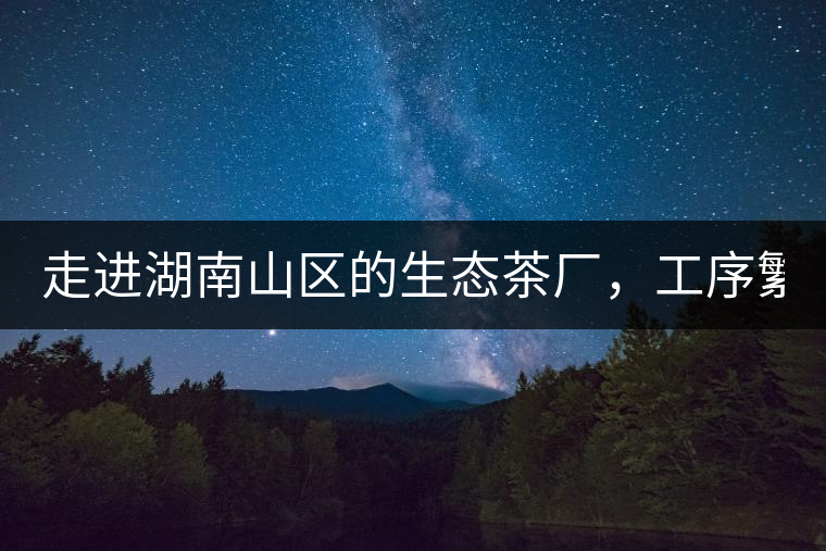 走進(jìn)湖南山區(qū)的生態(tài)茶廠，工序繁雜精細(xì)，538塊錢1斤真值走進(jìn)湖南山區(qū)的生態(tài)茶廠，工序繁雜精細(xì)，538塊錢1斤真值