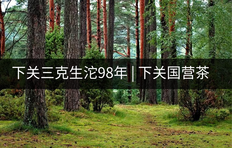 下關(guān)三克生沱98年 | 下關(guān)國(guó)營(yíng)茶廠出口料，干倉(cāng)儲(chǔ)存，...下關(guān)三克生沱98年 | 下關(guān)國(guó)營(yíng)茶廠出口料，干倉(cāng)儲(chǔ)存，19年老茶！