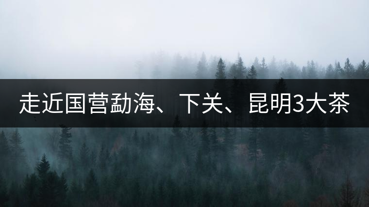 走近國(guó)營(yíng)勐海、下關(guān)、昆明3大茶廠，傳世代表作的發(fā)展詳...走近國(guó)營(yíng)勐海、下關(guān)、昆明3大茶廠，傳世代表作的發(fā)展詳解