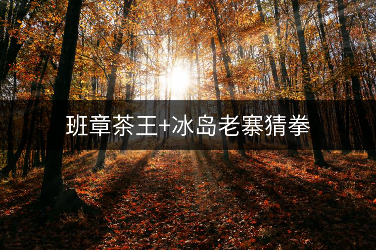 班章茶王+冰島老寨猜拳 班章茶王+冰島老寨猜拳