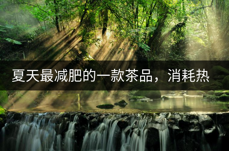 夏天最減肥的一款茶品，消耗熱量，此茶燃燒你的卡路里