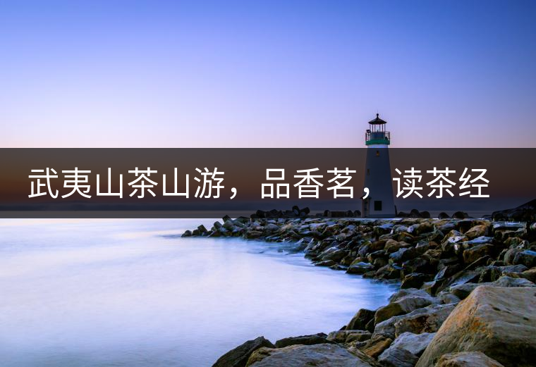 武夷山茶山游，品香茗，讀茶經(jīng)，賞茶景，學(xué)茶歷史!武夷山茶山游，品香茗，讀茶經(jīng)，賞茶景，學(xué)茶歷史！