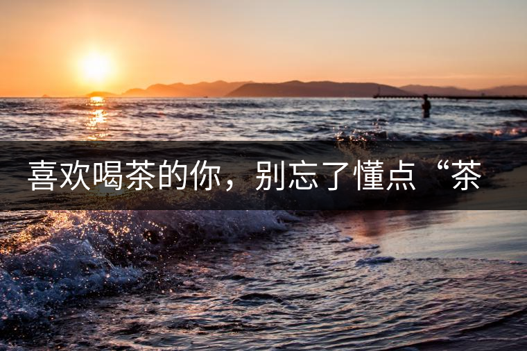 喜歡喝茶的你，別忘了懂點(diǎn)“茶歷史”喜歡喝茶的你，別忘了懂點(diǎn)“茶歷史”