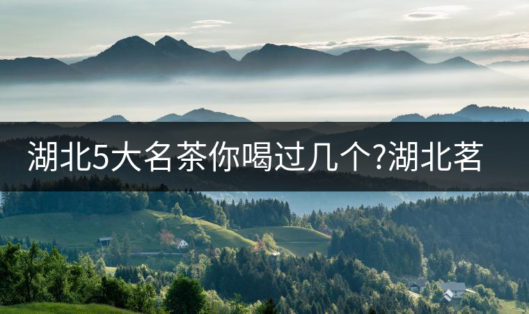 湖北5大名茶你喝過幾個?湖北茗茶的歷史故事?湖北茶哪...湖北5大名茶你喝過幾個？湖北茗茶的歷史故事？湖北茶哪個產(chǎn)地好