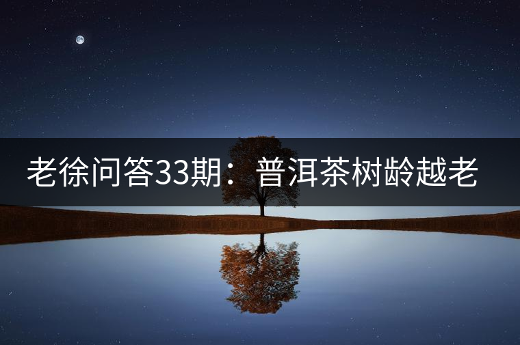 老徐問答33期：普洱茶樹齡越老越貴，那100年樹齡的老班章呢？