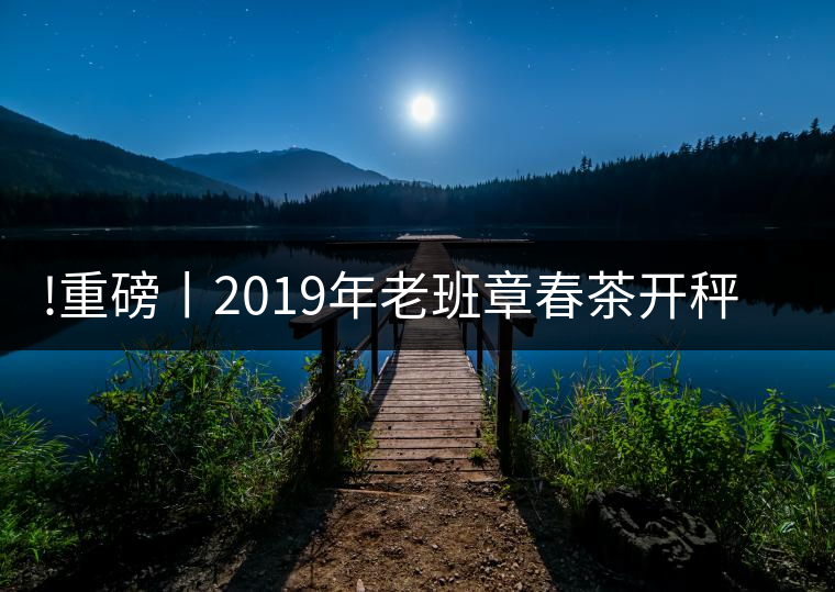 !重磅丨2019年老班章春茶開秤，一筆定價？如此出人意料！