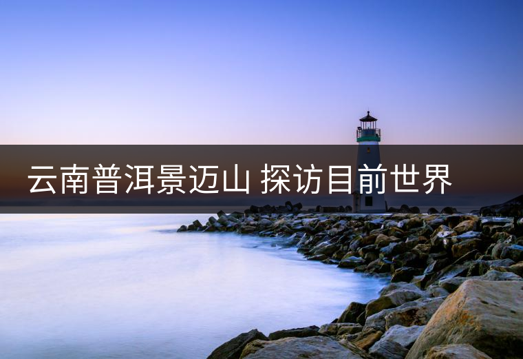 云南普洱景邁山 探訪目前世界上面積最大、年代最久遠(yuǎn)的古茶園