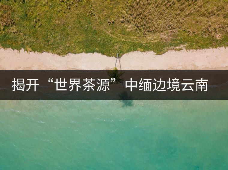 揭開(kāi)“世界茶源”中緬邊境云南普洱景邁山的神秘面紗揭開(kāi)“世界茶源”中緬邊境云南普洱景邁山的神秘面紗 揭開(kāi)“世界茶源”中緬邊境云南普洱景邁山的神秘面紗揭開(kāi)“世界茶源”中緬邊境云南普洱景邁山的神秘面紗