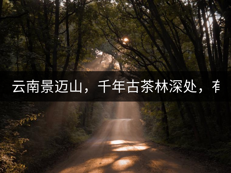 云南景邁山，千年古茶林深處，有一座世外桃源般的糯...云南景邁山，千年古茶林深處，有一座世外桃源般的糯干古寨