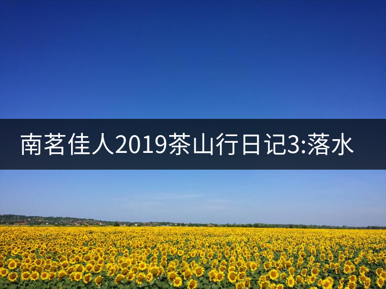 南茗佳人2019茶山行日記3:落水洞--200多年建村歷史，...南茗佳人2019茶山行日記3：落水洞——200多年建村歷史，靈動清越