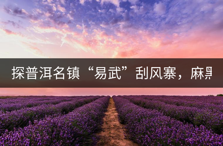 探普洱名鎮(zhèn)“易武”刮風(fēng)寨，麻黑，落水洞!小編親自下...探普洱名鎮(zhèn)“易武”刮風(fēng)寨，麻黑，落水洞！小編親自下手“殺青”