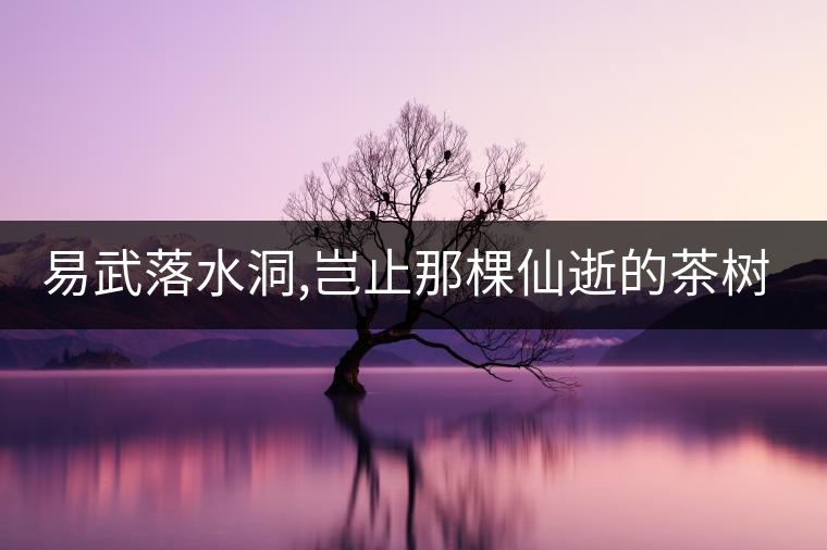 易武落水洞,豈止那棵仙逝的茶樹王?易武落水洞,豈止那棵仙逝的茶樹王？