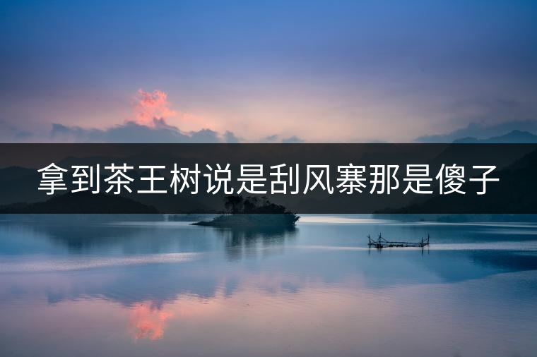 拿到茶王樹說是刮風(fēng)寨那是傻子 拿到茶王樹說是刮風(fēng)寨那是傻子