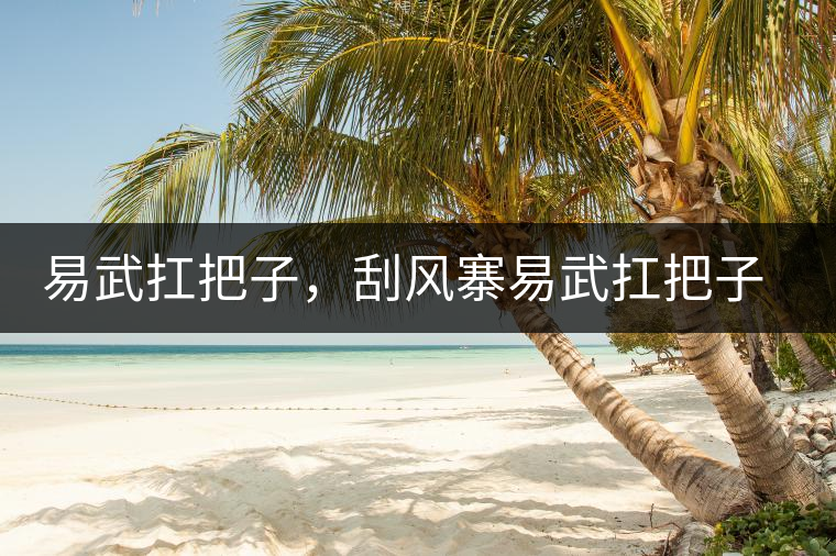 易武扛把子，刮風(fēng)寨易武扛把子，刮風(fēng)寨