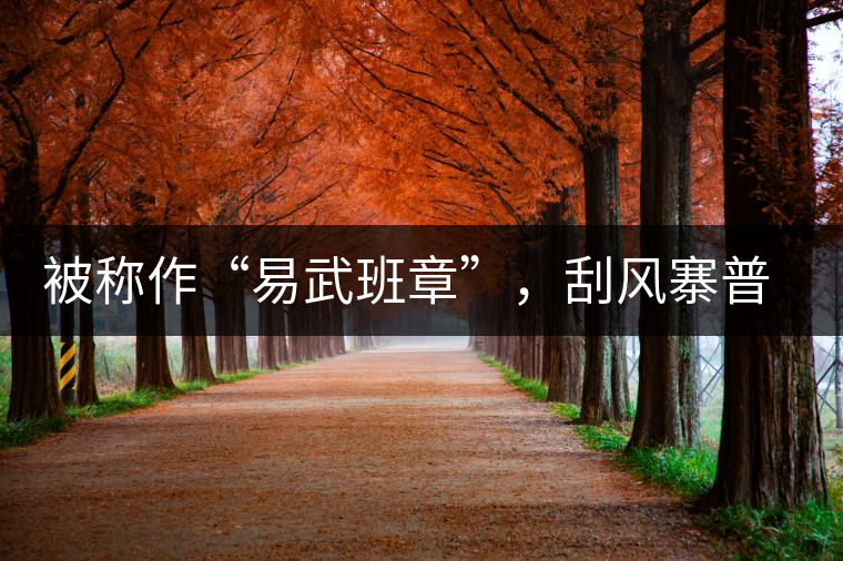 被稱作“易武班章”，刮風寨普洱茶是否實至名歸?被稱作“易武班章”，刮風寨普洱茶是否實至名歸？