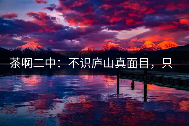 茶啊二中：不識廬山真面目，只識彎弓射大雕，賈淳真搞笑