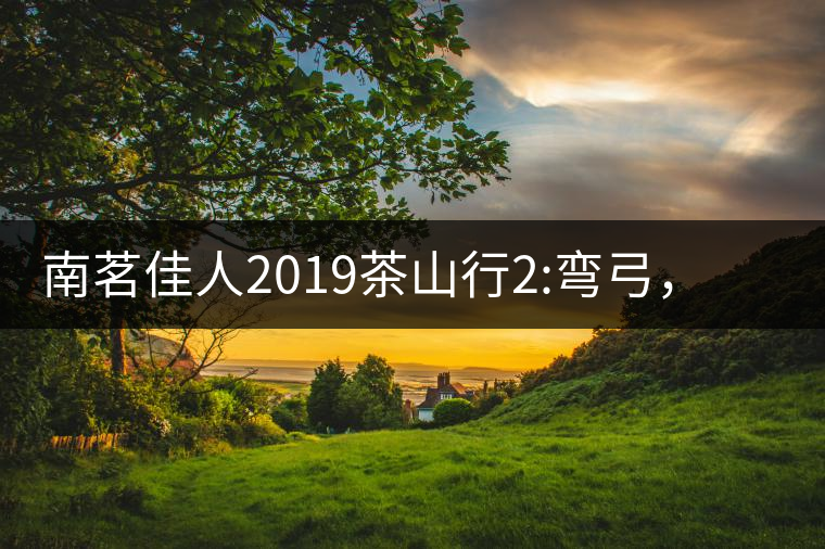 南茗佳人2019茶山行2:彎弓，一路艱辛，只為這有生命...南茗佳人2019茶山行2：彎弓，一路艱辛，只為這有生命厚度的茶！
