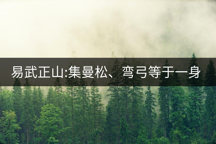 易武正山:集曼松、彎弓等于一身的貴族老黃片，好喝沒得...易武正山：集曼松、彎弓等于一身的貴族老黃片，好喝沒得說