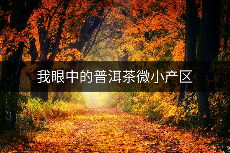 我眼中的普洱茶微小產(chǎn)區(qū)