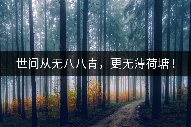 世間從無八八青，更無薄荷塘 !