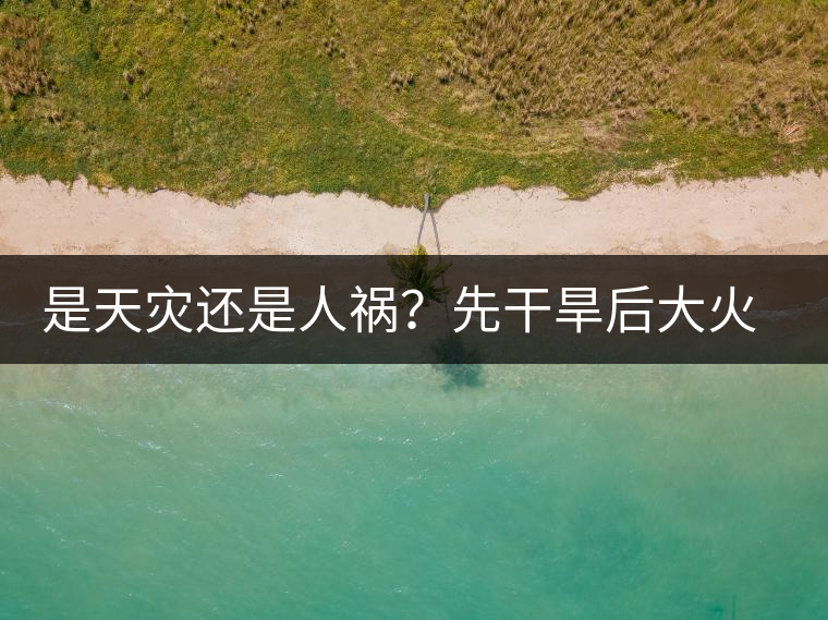 是天災(zāi)還是人禍？先干旱后大火，普洱茶將何去何從？