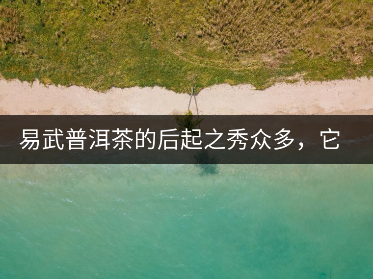 易武普洱茶的后起之秀眾多，它是還沒漲價的一個！